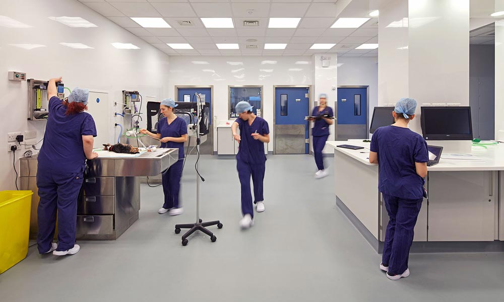 A new state of the art veterinary clinic occupies the ground and first floor levels. There are six levels of training facilities and offices, including a lecture theatre and boardrooms at top floor level. The lecture theatre extends into a roof terrace with views across to the Battersea Power Station and Battersea Park.