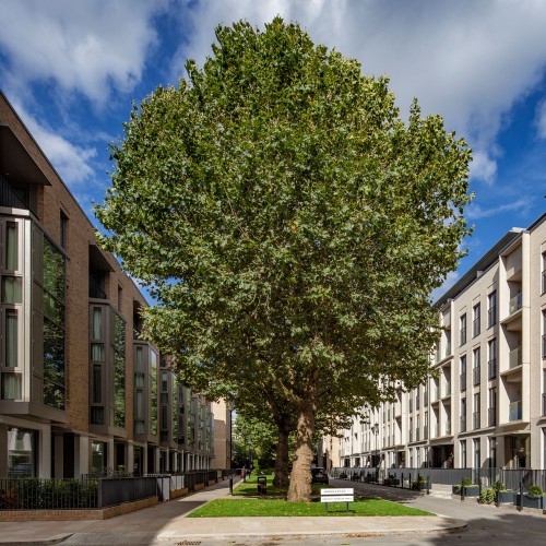 Portobello Square, Wornington Green